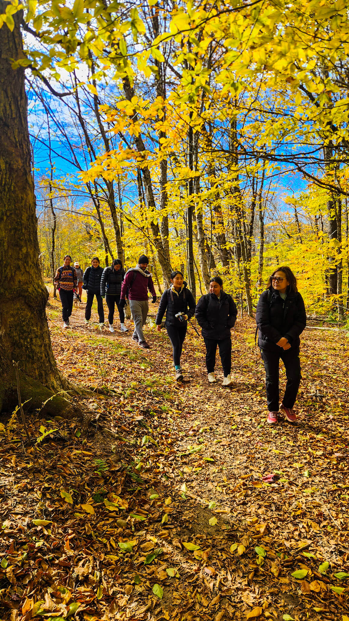 *NEW* Fall Friday Group Hikes - Only $20, Including Pickup! (Select Dates)