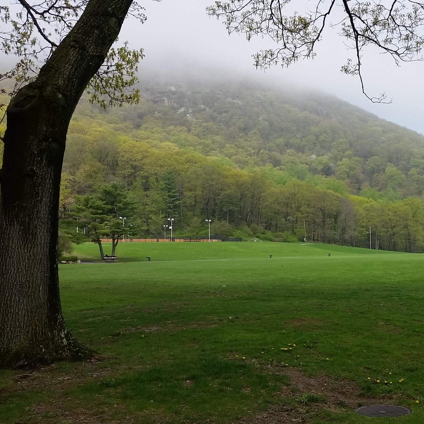 Autumn Equinox One Day Retreat