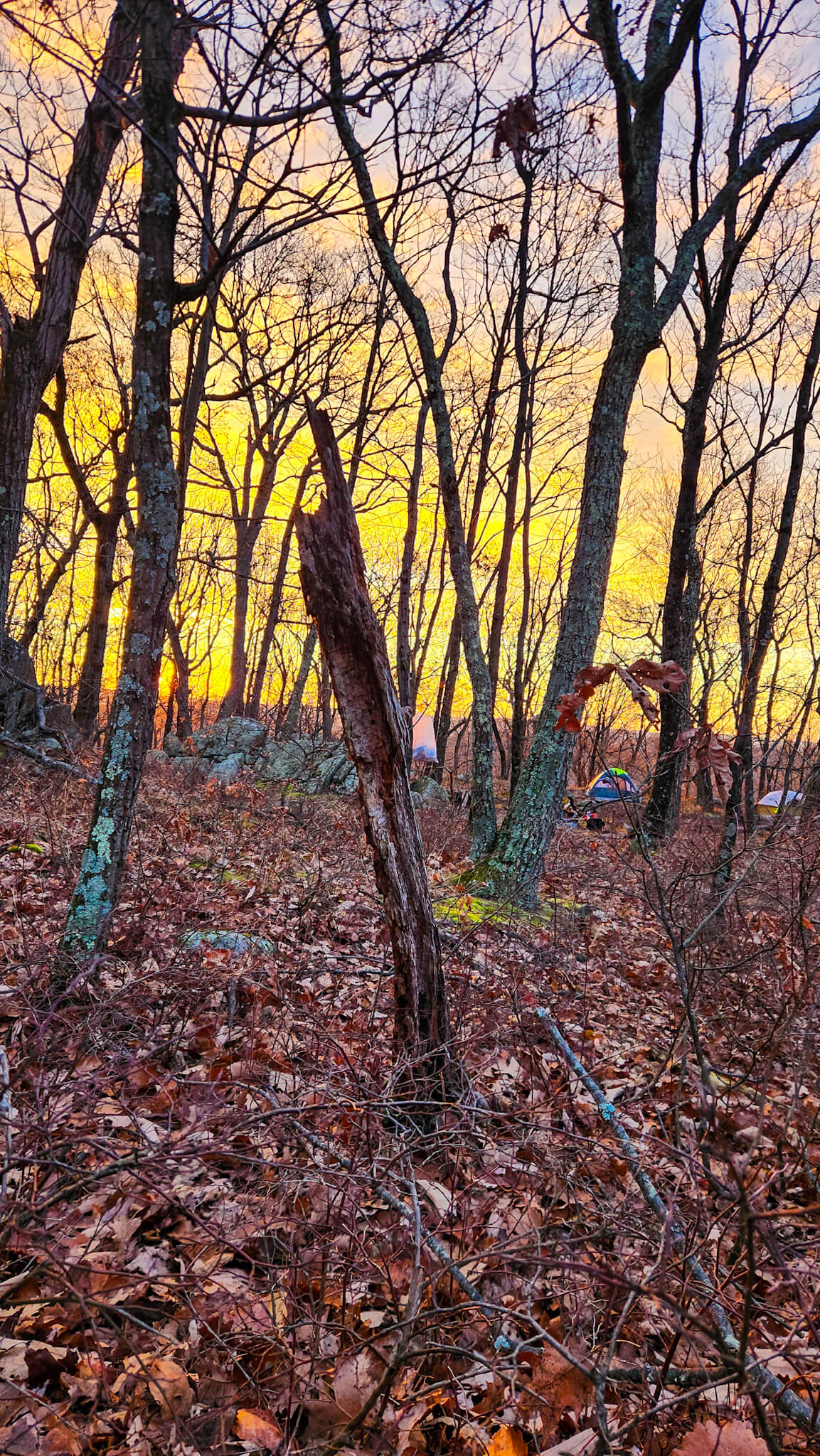 Pre-Thanksgiving Intermediate Overnight Backpacking and Wild Camping at Sterling Forest State Park (Nov 21 & 22, 2026)