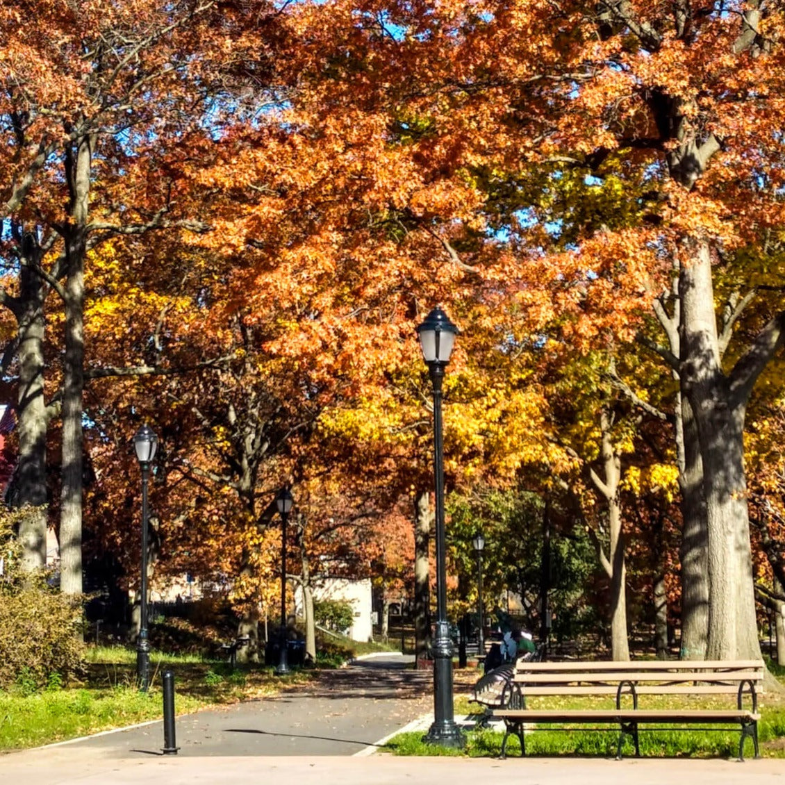 Nature in Your Neighborhood with Route to the Root Journeys