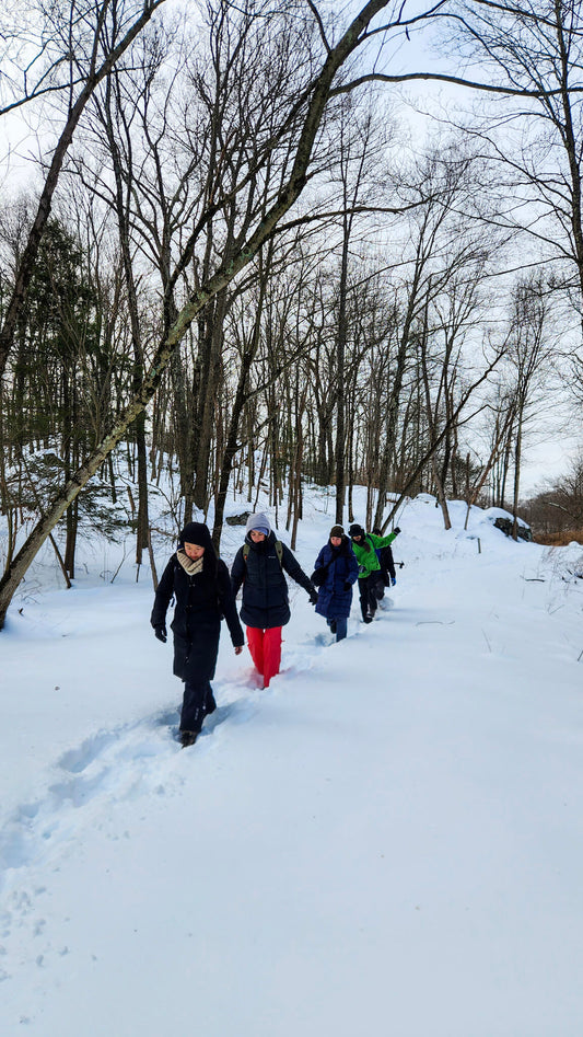 *NEW* Winter Group Hikes - Only $20, Including Pickup! (Select Dates)
