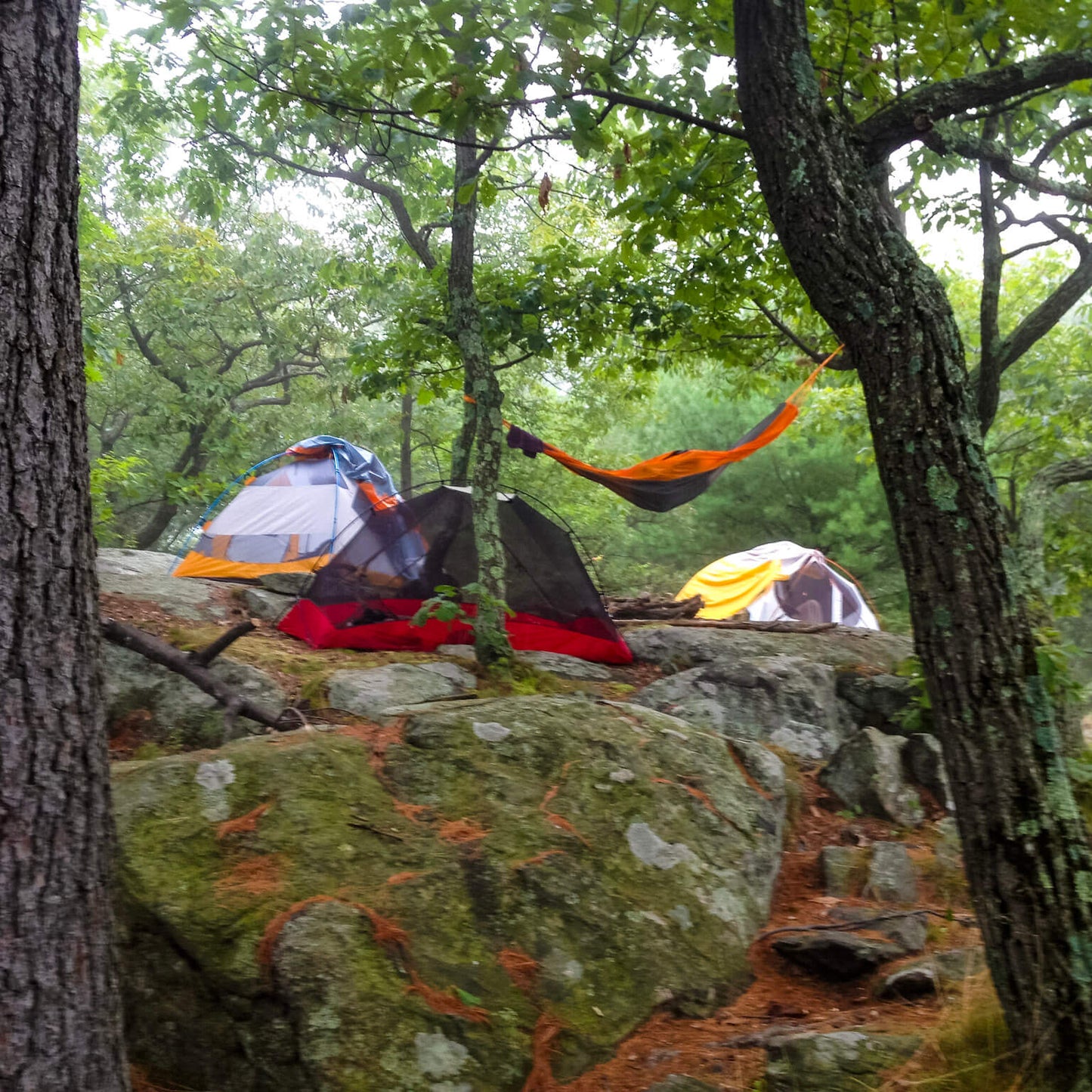 Pre-Thanksgiving Intermediate Overnight Backpacking at Sterling Forest State Park (Nov 22 & 23, 2025)