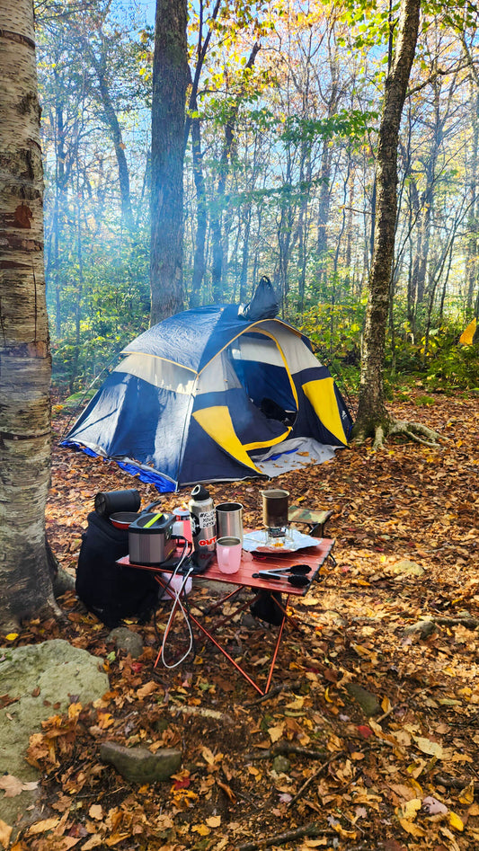 Peak Fall Full Moon Intermediate Overnight Backpacking in the Catskills (Sep 26 & 27, 2026)