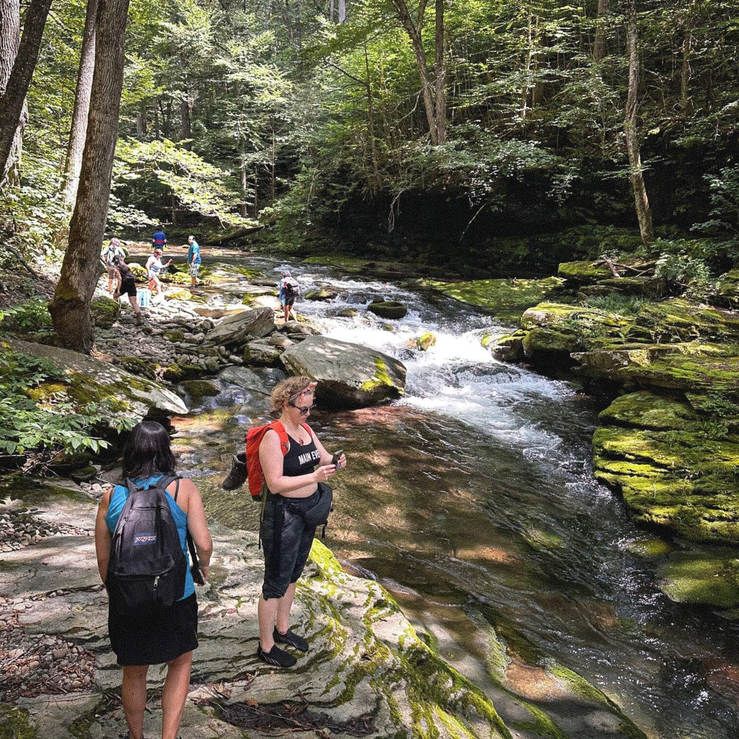 Hike & Swim Peekamoose Blue Hole, A Rainforest Escape in NY