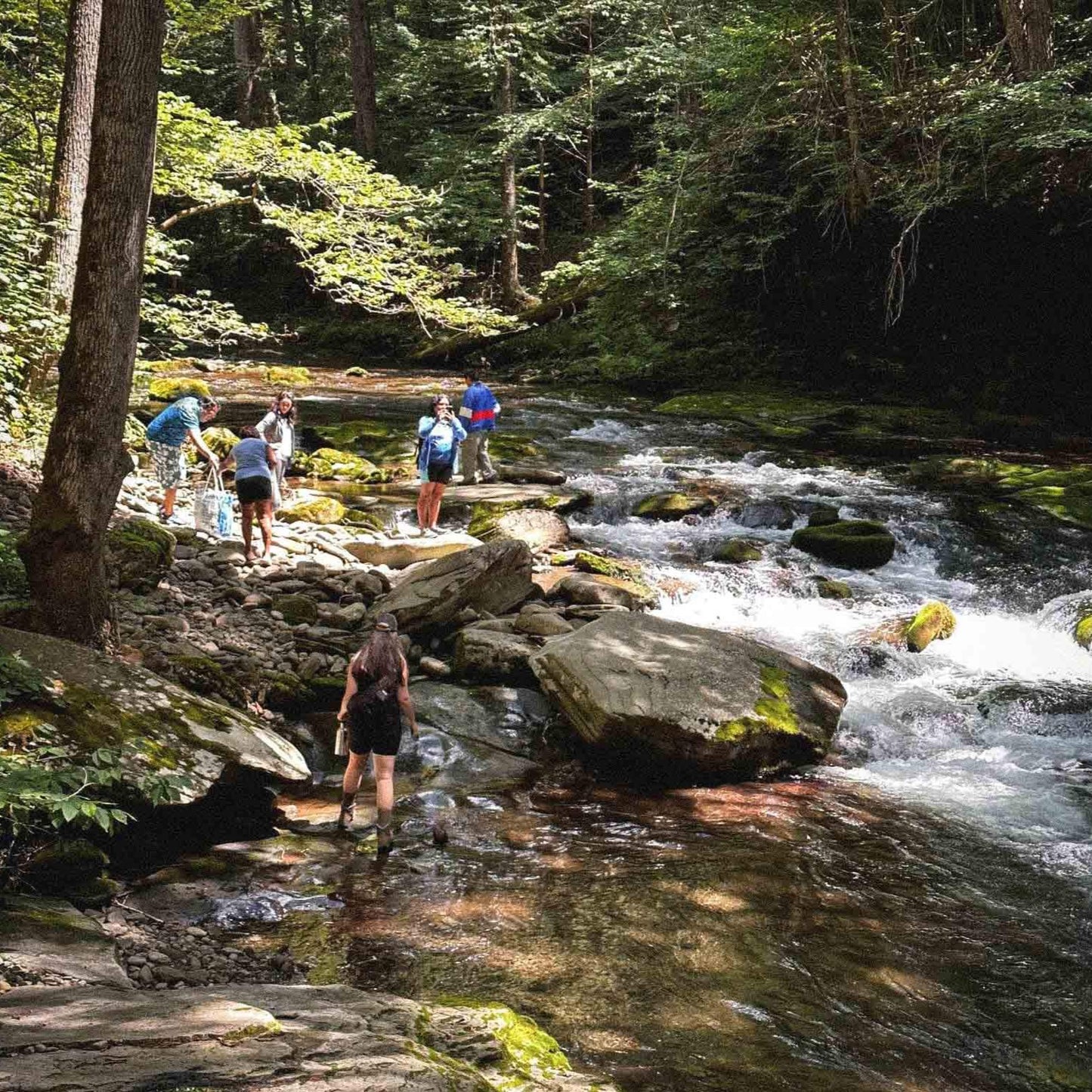 Hike & Swim Peekamoose Blue Hole, A Rainforest Escape in NY