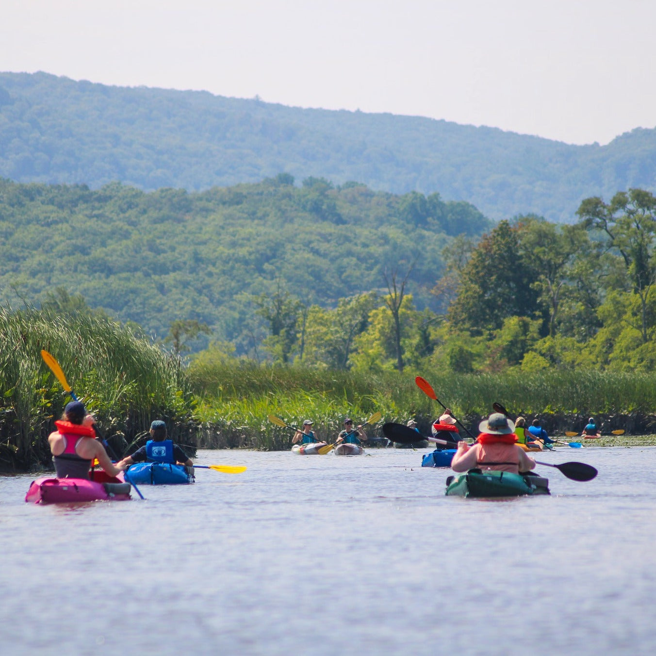 Get Out & Kayak To A Beautiful Tidal Marsh and Protected Bird Sanctuary (Select Dates)