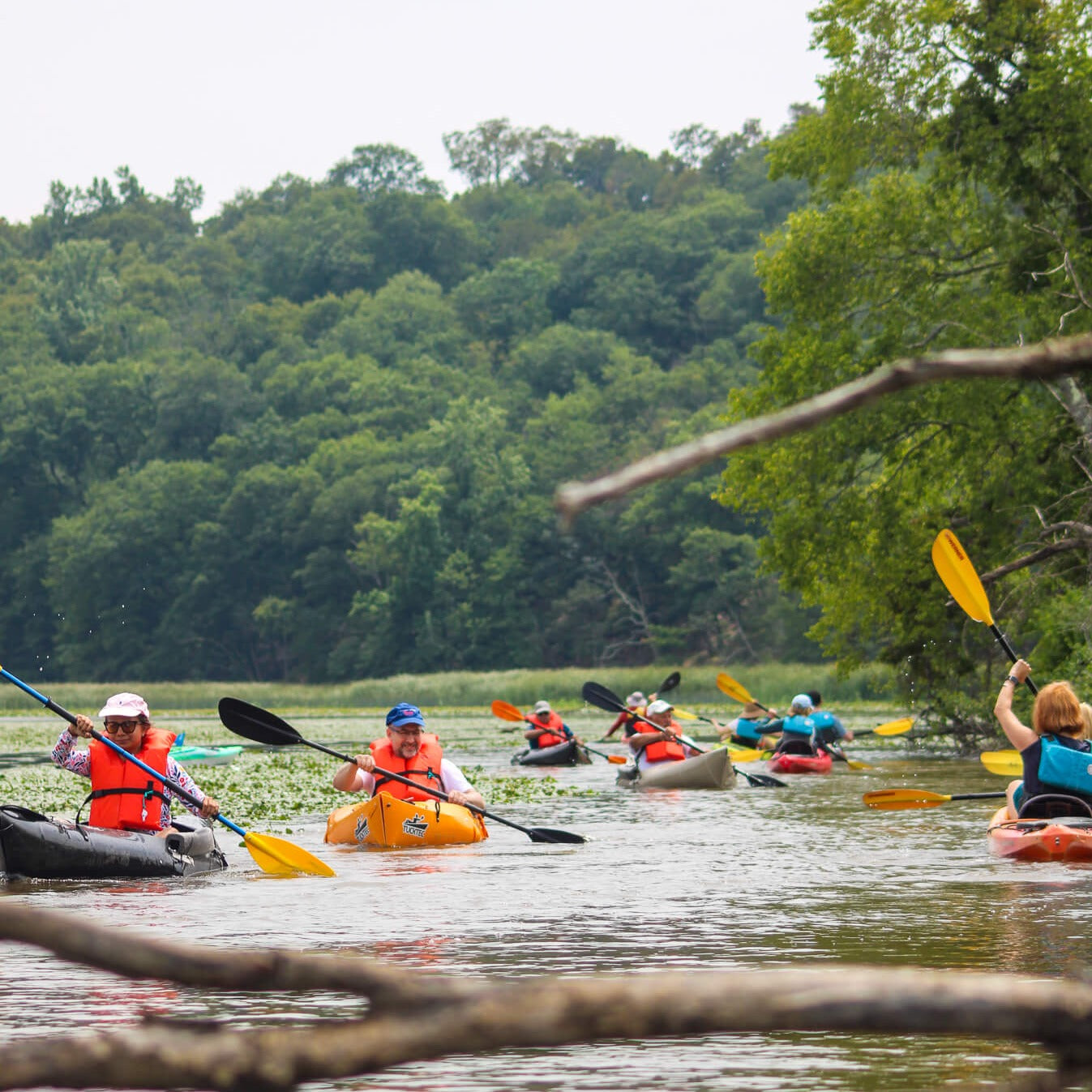 Get Out & Kayak To A Beautiful Tidal Marsh and Protected Bird Sanctuary (Select Dates)