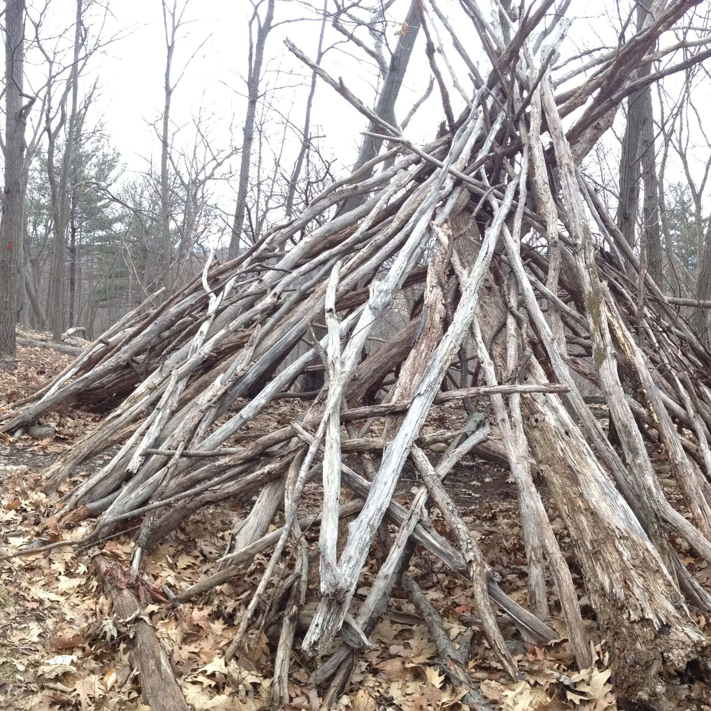 Hike & Introduction to Outdoor Skills