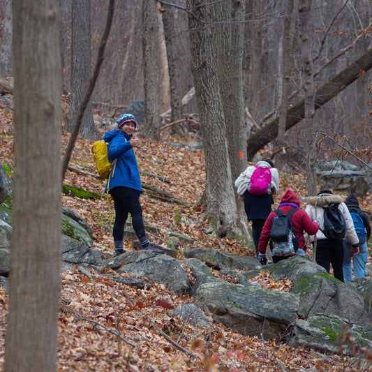 Group of hikers with backpacks on a rocky trail in a forest