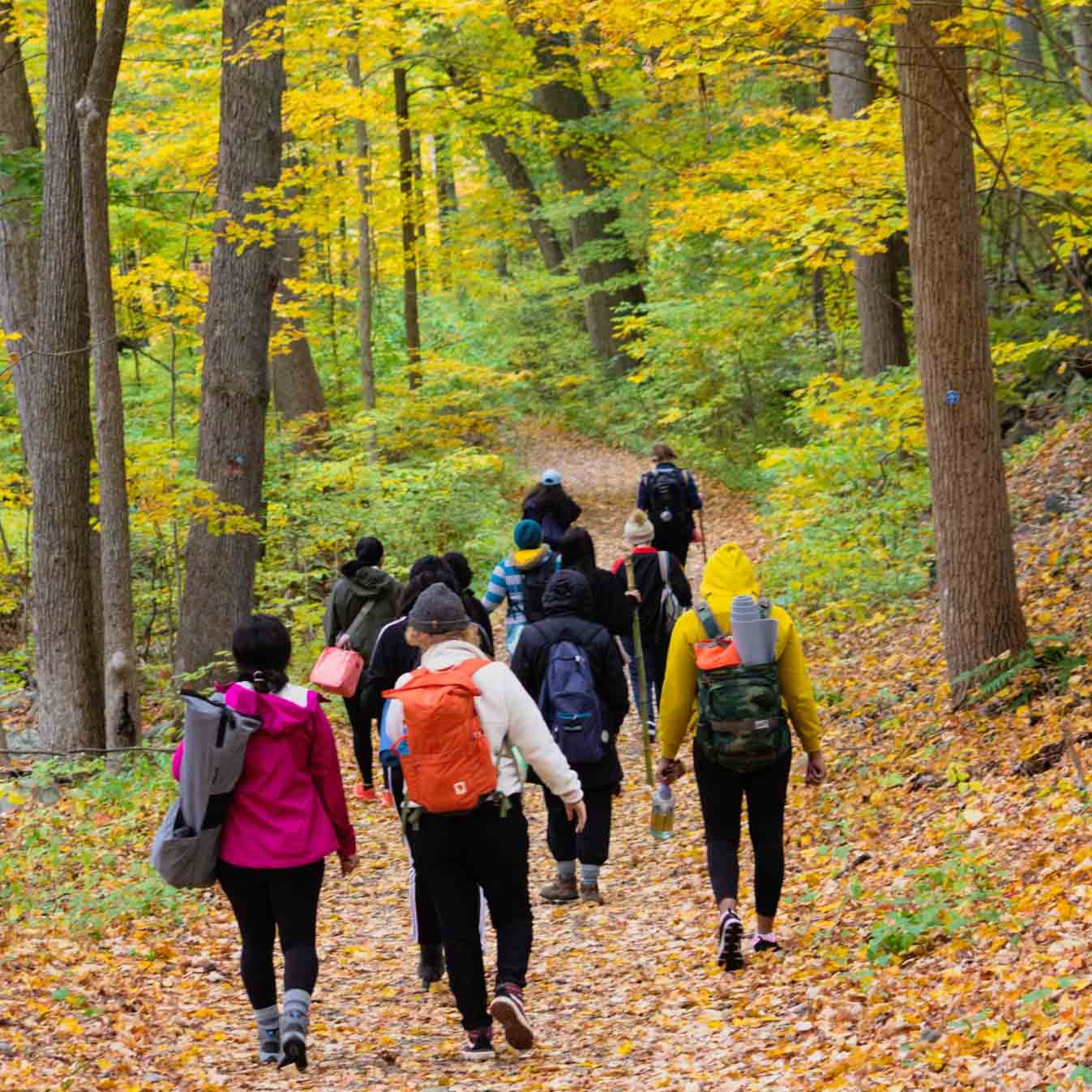 Autumn Equinox One Day Retreat