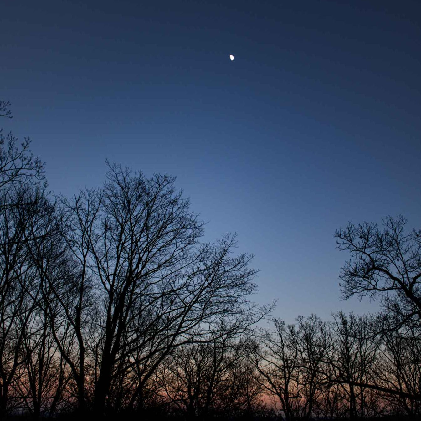 Winter Solstice Overnight Backpacking on the Appalachian Trail (Dec 20 & 21, 2025)