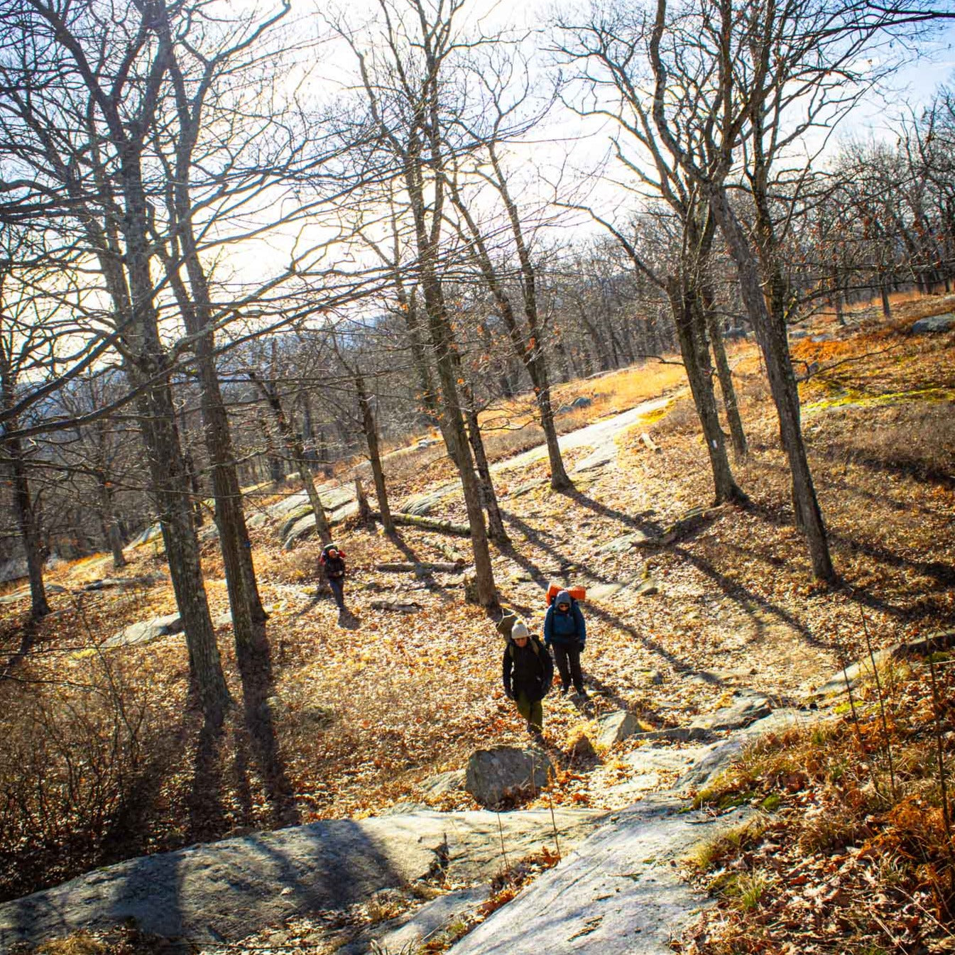 Winter Solstice Overnight Backpacking on the Appalachian Trail (Dec 20 & 21, 2025)