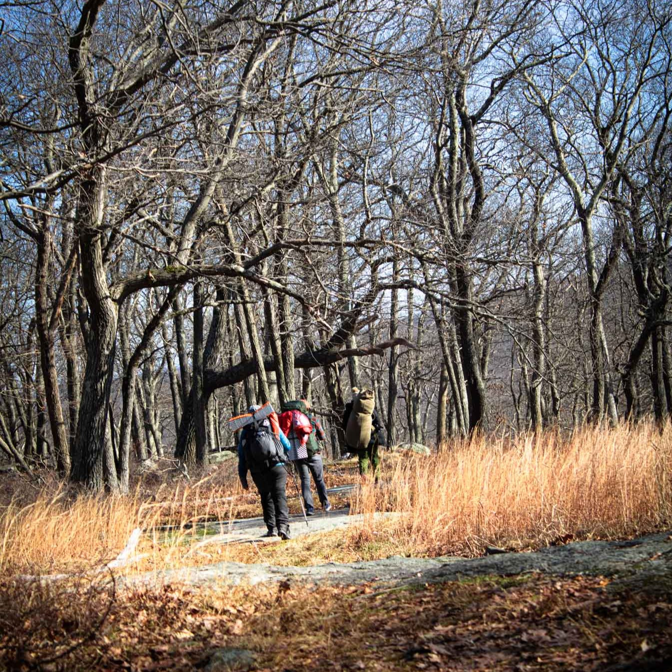 Winter Solstice Overnight Backpacking on the Appalachian Trail (Dec 20 & 21, 2025)