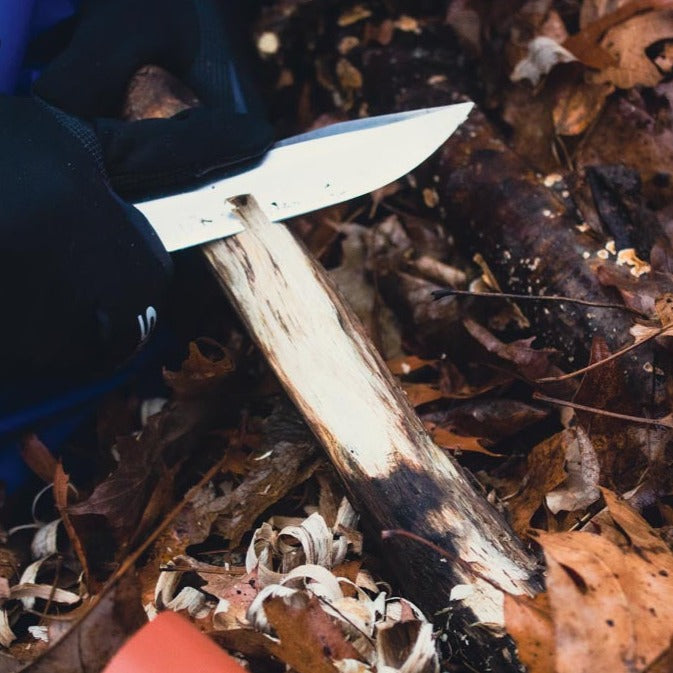 Hike & Introduction to Outdoor Skills