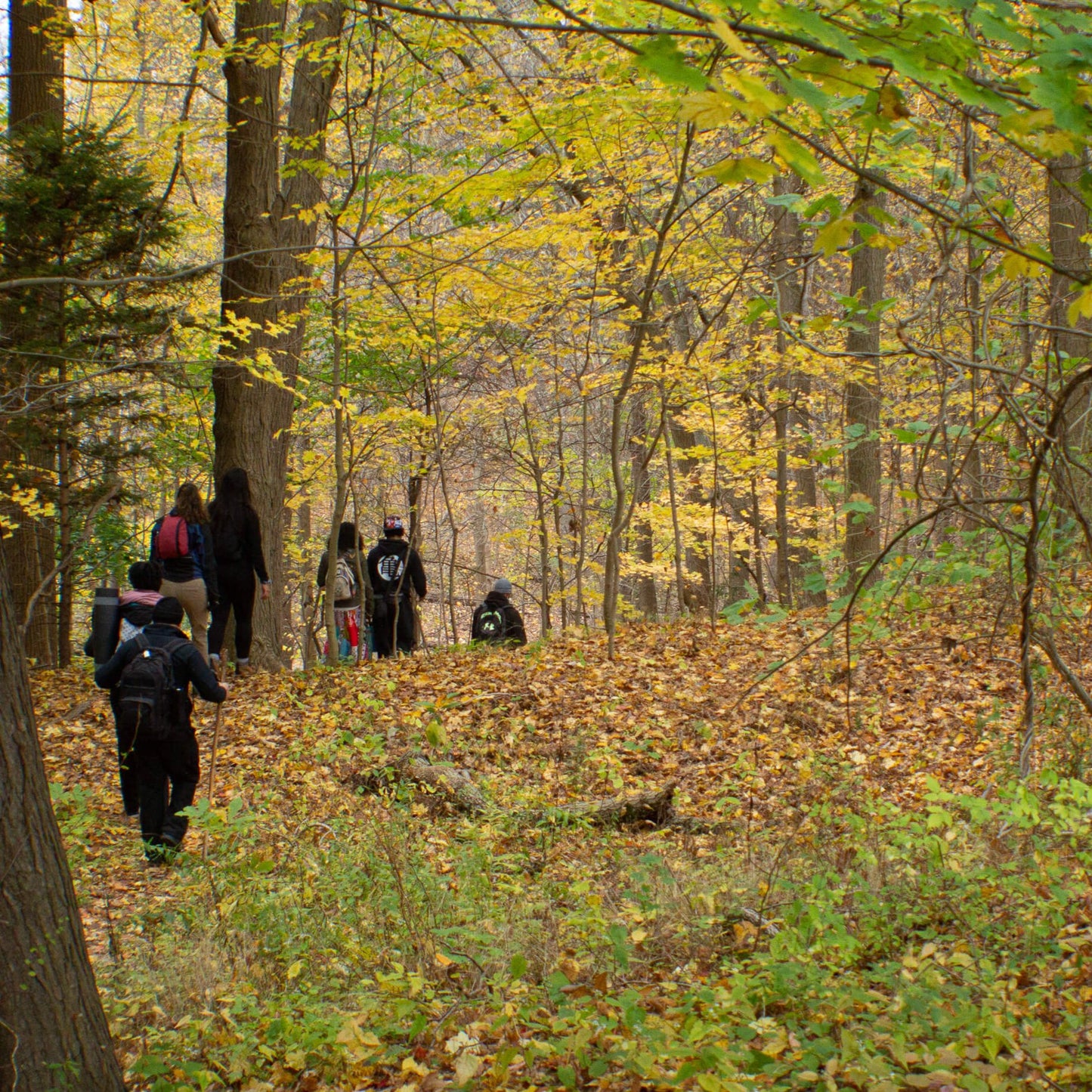 *NEW* Fall Friday Group Hikes - Only $20, Including Pickup! (Select Dates)