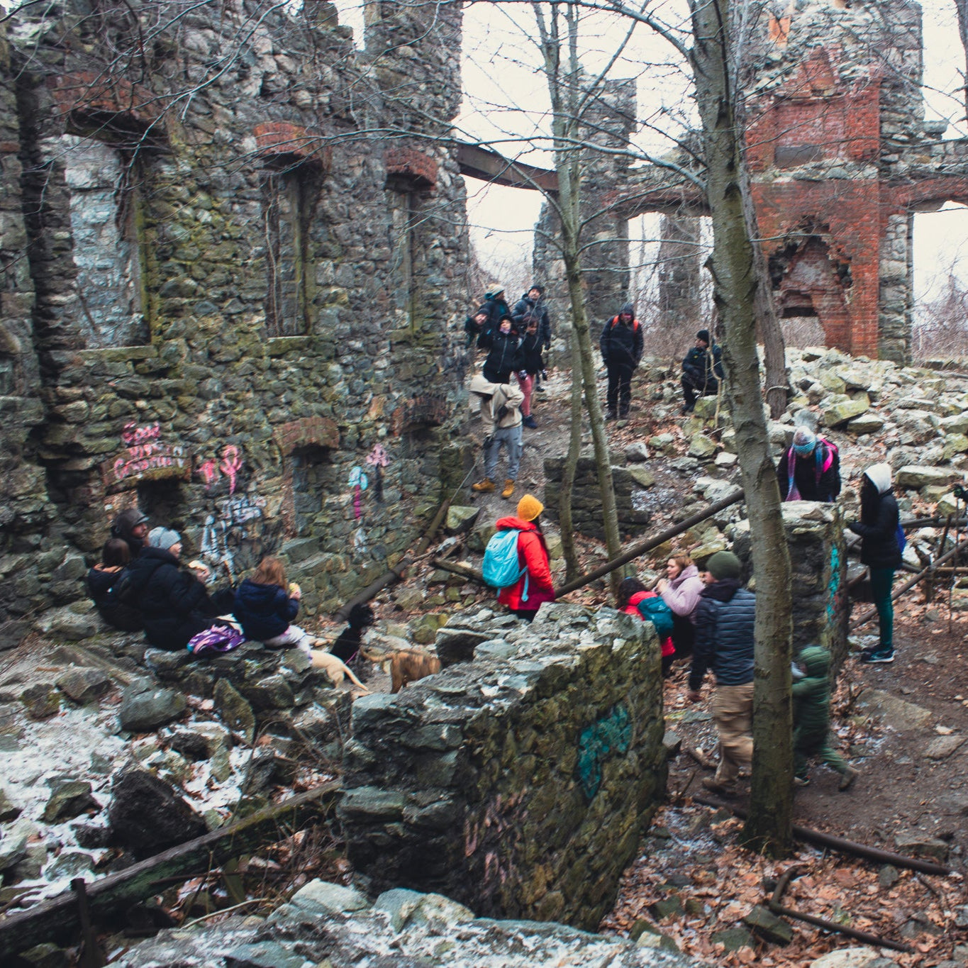 Trashmapping Ramapo Mountain & Van Slyke Castle Ruins on Earth Day (Apr 20 2025)