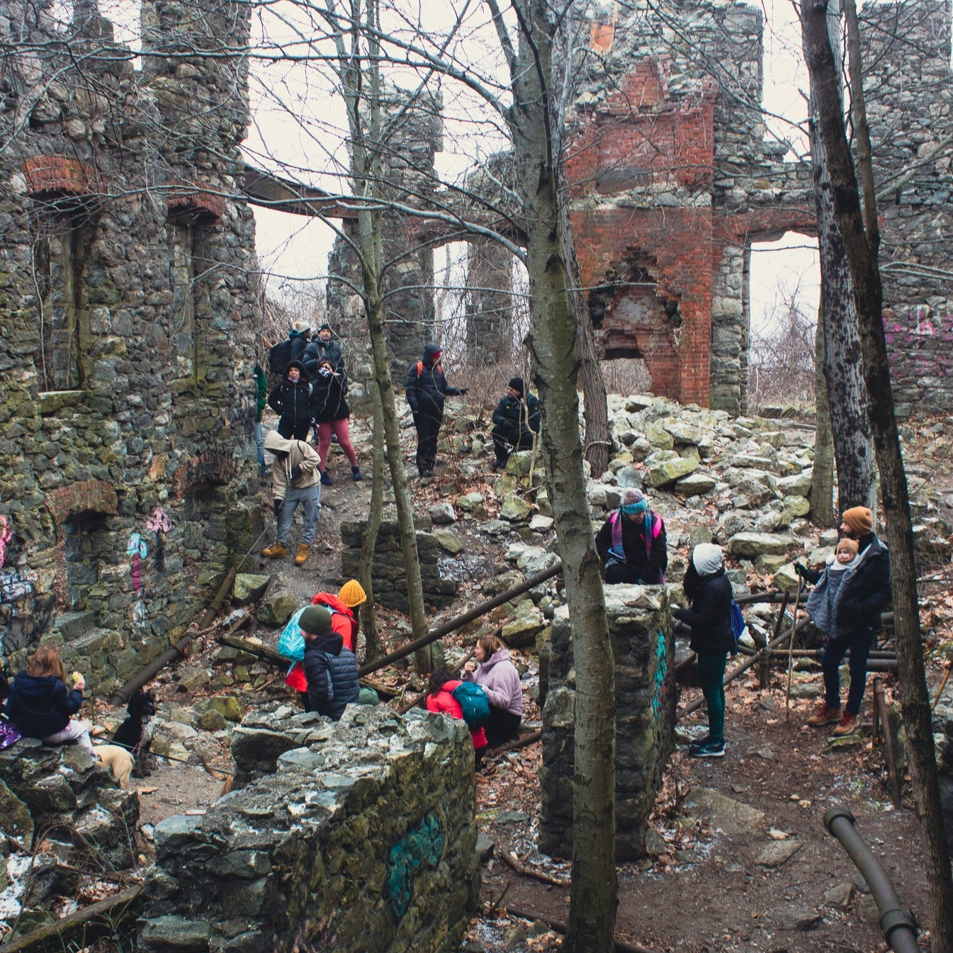 Al's Birthday Hike