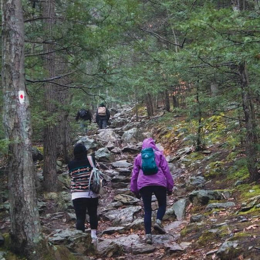 Waterfall Hike at Lehigh Gorge State Park (Apr 26 2025)