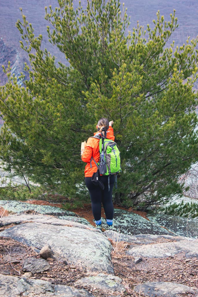*NEW* Spring Group Hikes - From $20, Including Pickup! (Select Dates)