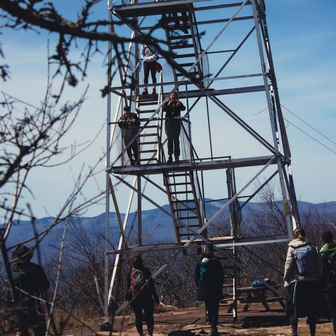 Summer Friday Group Hikes - Only $20, Including Pickup! (Select Dates)