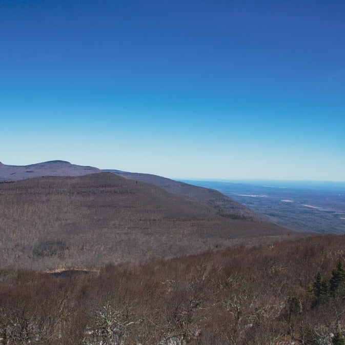 Echo The Journey Fall Foliage Hike & Wine Tasting
