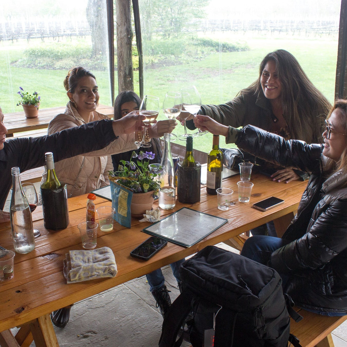 Visit The Best Vineyards 🍷 With A Designated Driver