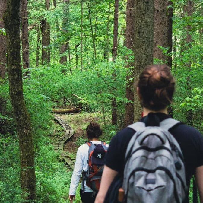 Summer Hike & Forest Bathing Meditation at Sterling Forest (Aug 9 2025)