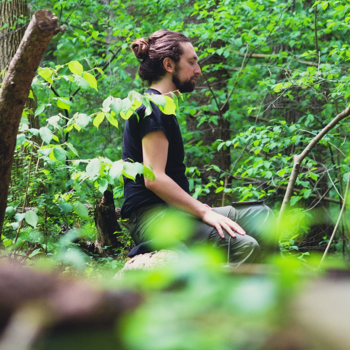 Summer Hike & Forest Bathing Meditation at Sterling Forest (Aug 9 2025)