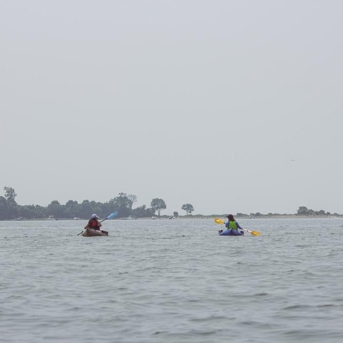 Get Out & Kayak To Cockenoe Island Bird Estuary