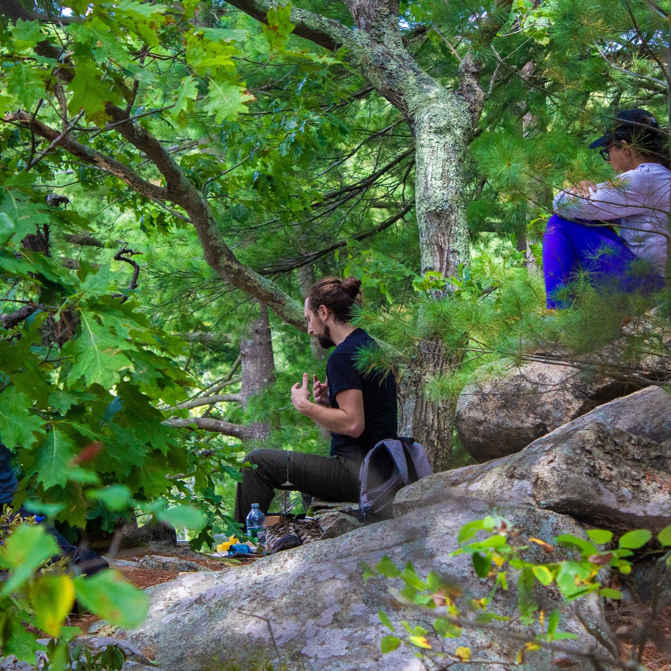 Summer Hike & Forest Bathing Meditation at Sterling Forest (Aug 9 2025)