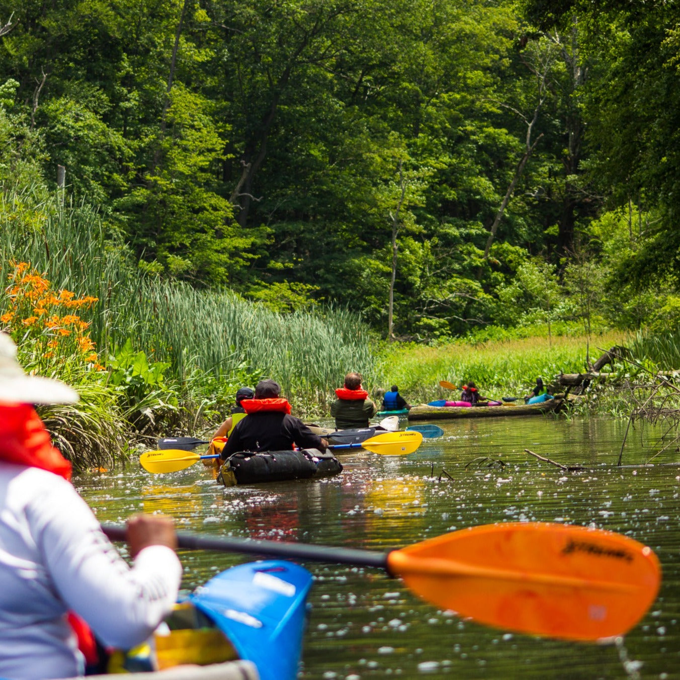 Get Out & Kayak To A Beautiful Tidal Marsh and Protected Bird Sanctuary (Select Dates)