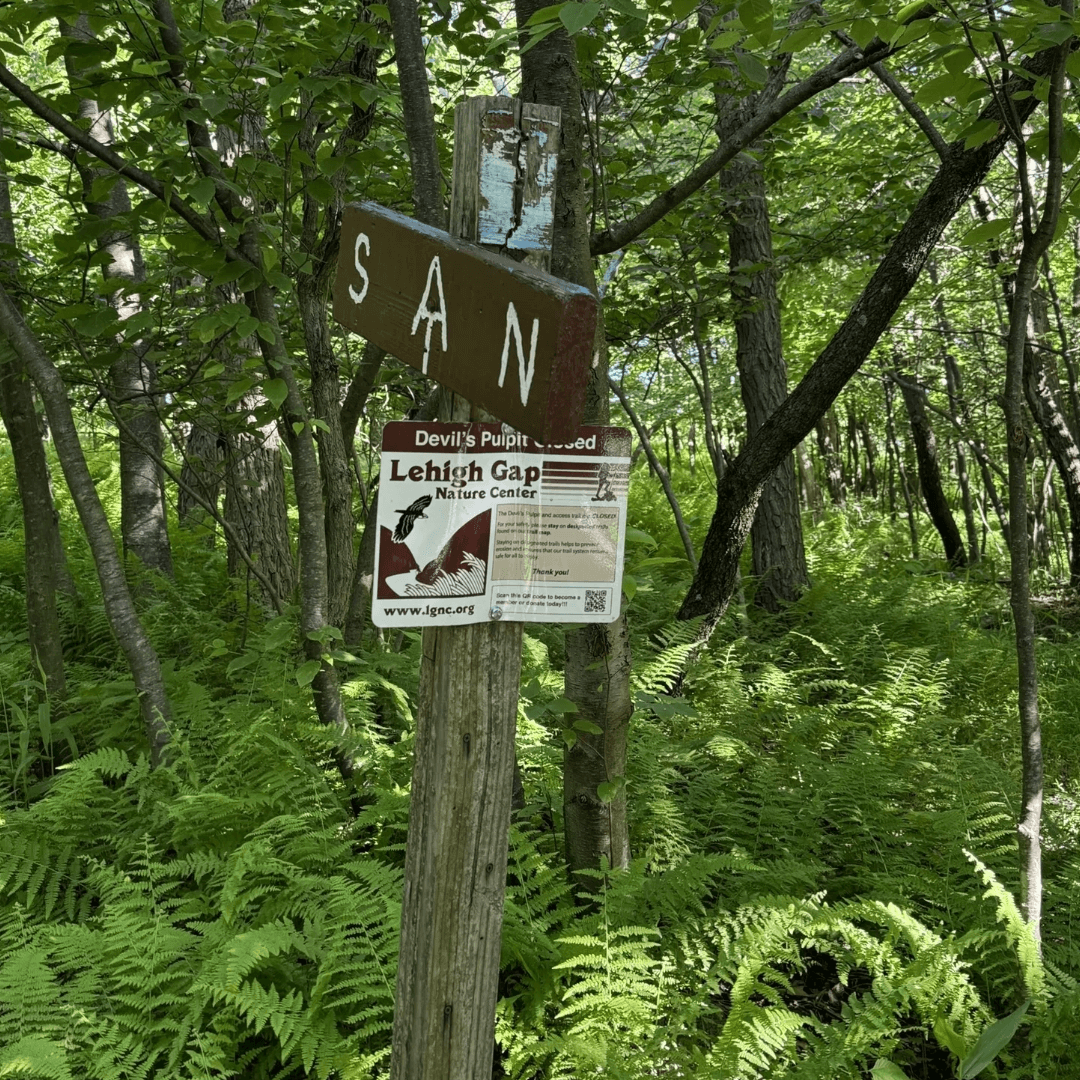*NEW* Rydeshare to Jim Thorpe for Whitewater Rafting, Hiking, Sightseeing & Shopping