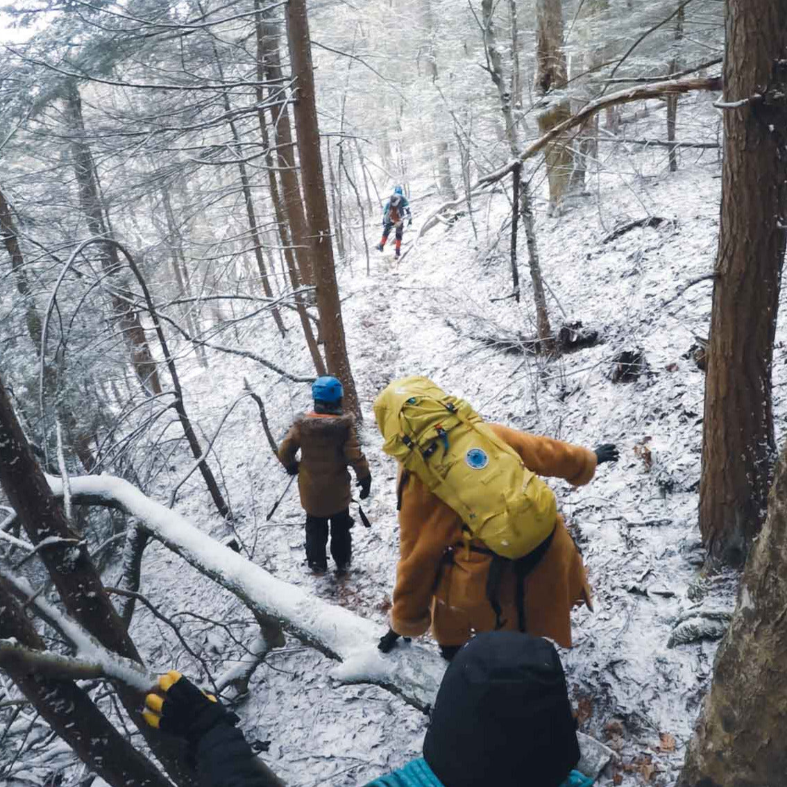 3-Day Ice Climbing Wknd