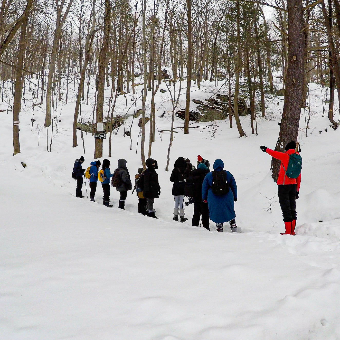 Group of people hiking in a snowy forest with a guide pointing ahead.