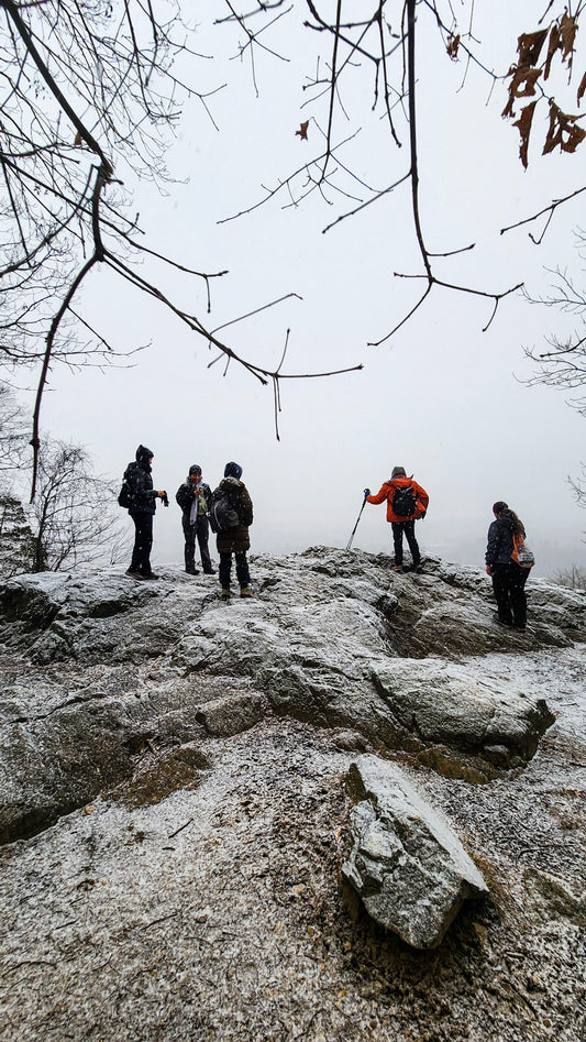 *NEW* Winter Group Hikes - Only $20, Including Pickup! (Select Dates)