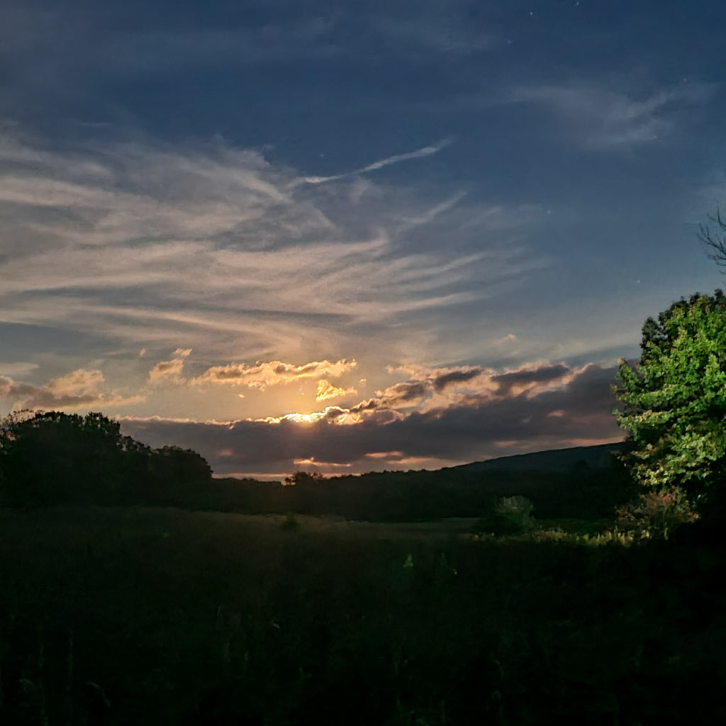 Hike Under A Full Moon on the Appalachian Trail Boardwalk (Sep 7 2025)