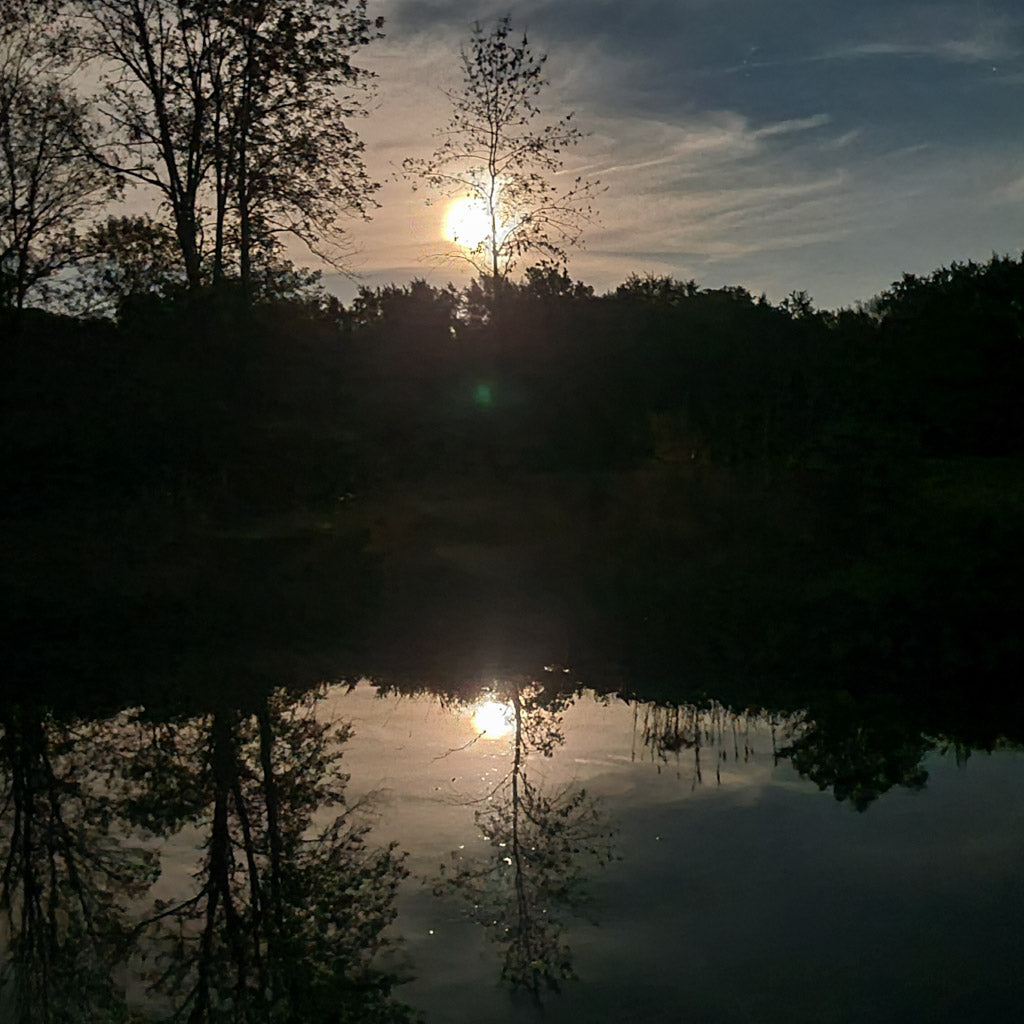 Hike Under A Full Moon on the Appalachian Trail Boardwalk (Sep 7 2025)