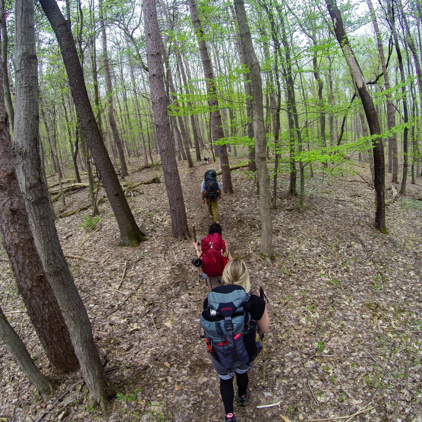 Beginner Overnight Backpacking at Windham Mountain (Aug 23 & 24, 2025)