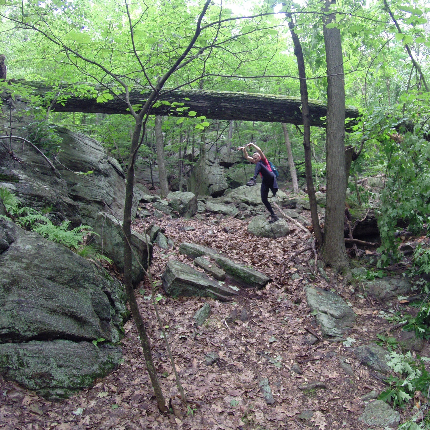 The Anna Fall Foliage Hike Series