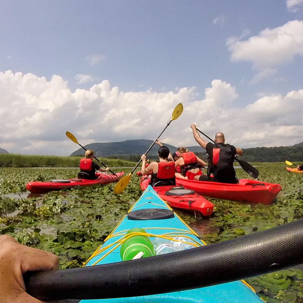 Get Out & Kayak To A Beautiful Tidal Marsh and Protected Bird Sanctuary (Select Dates)