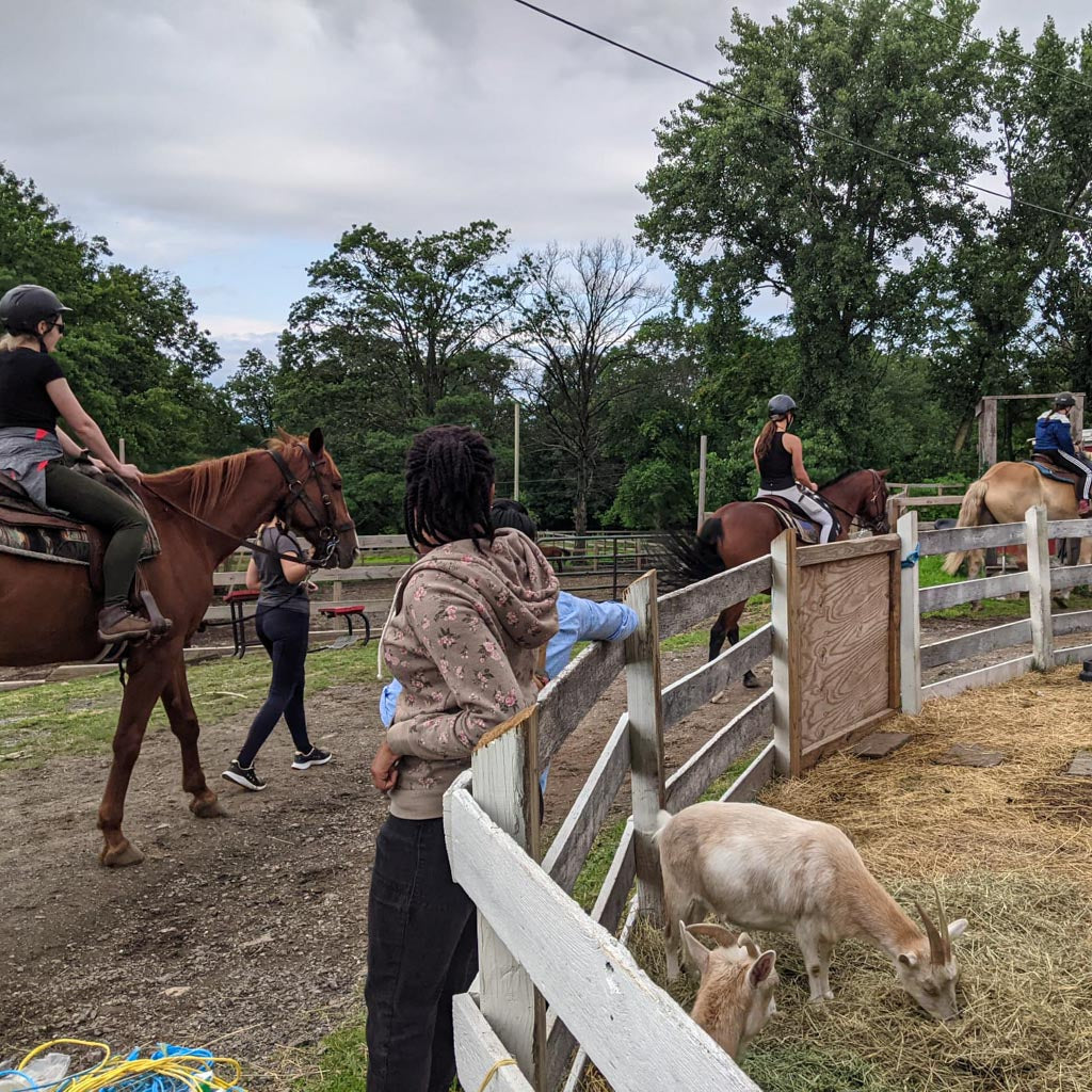 Super Fun Horseback Riding