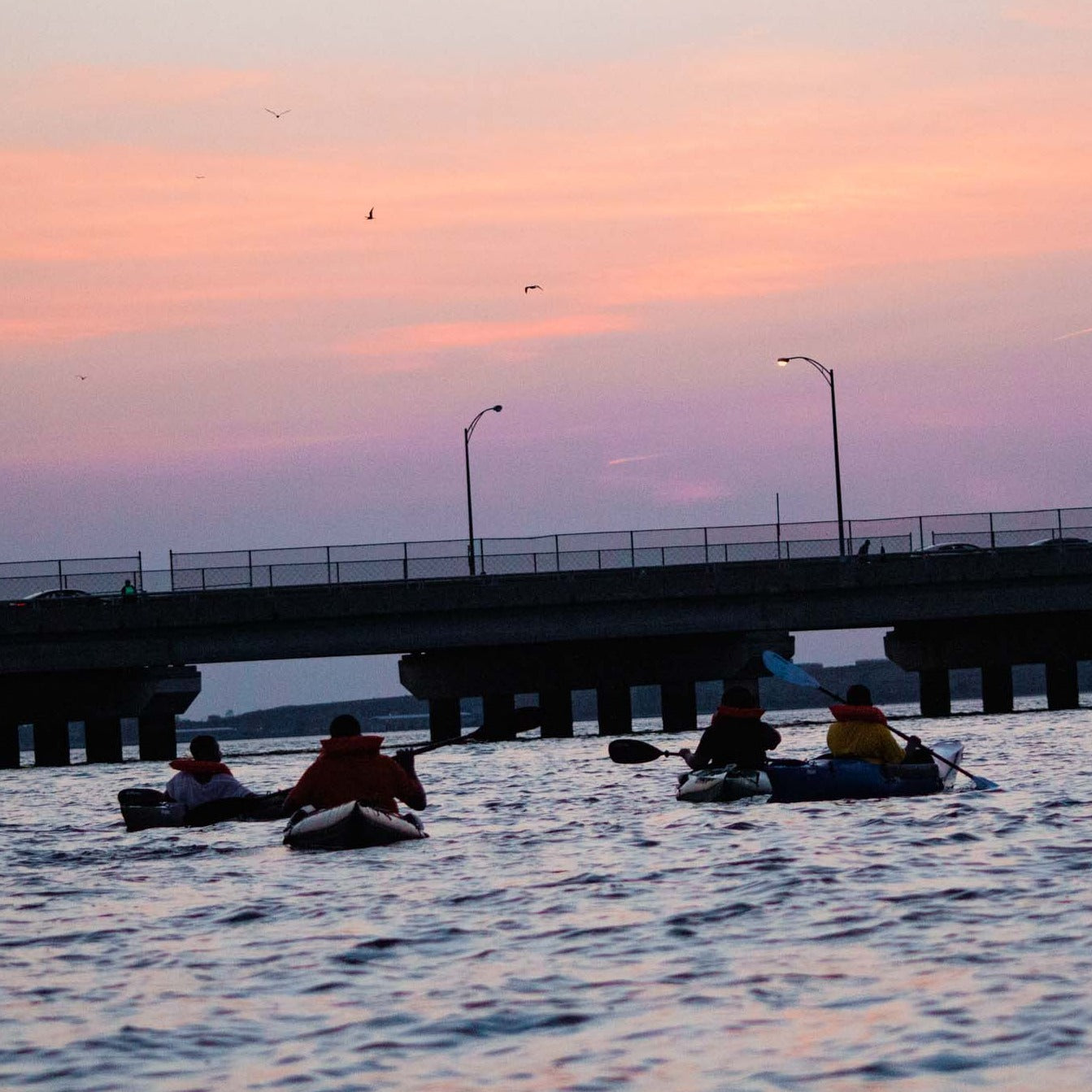 Easy Sunset Kayaking at Jamaica Bay