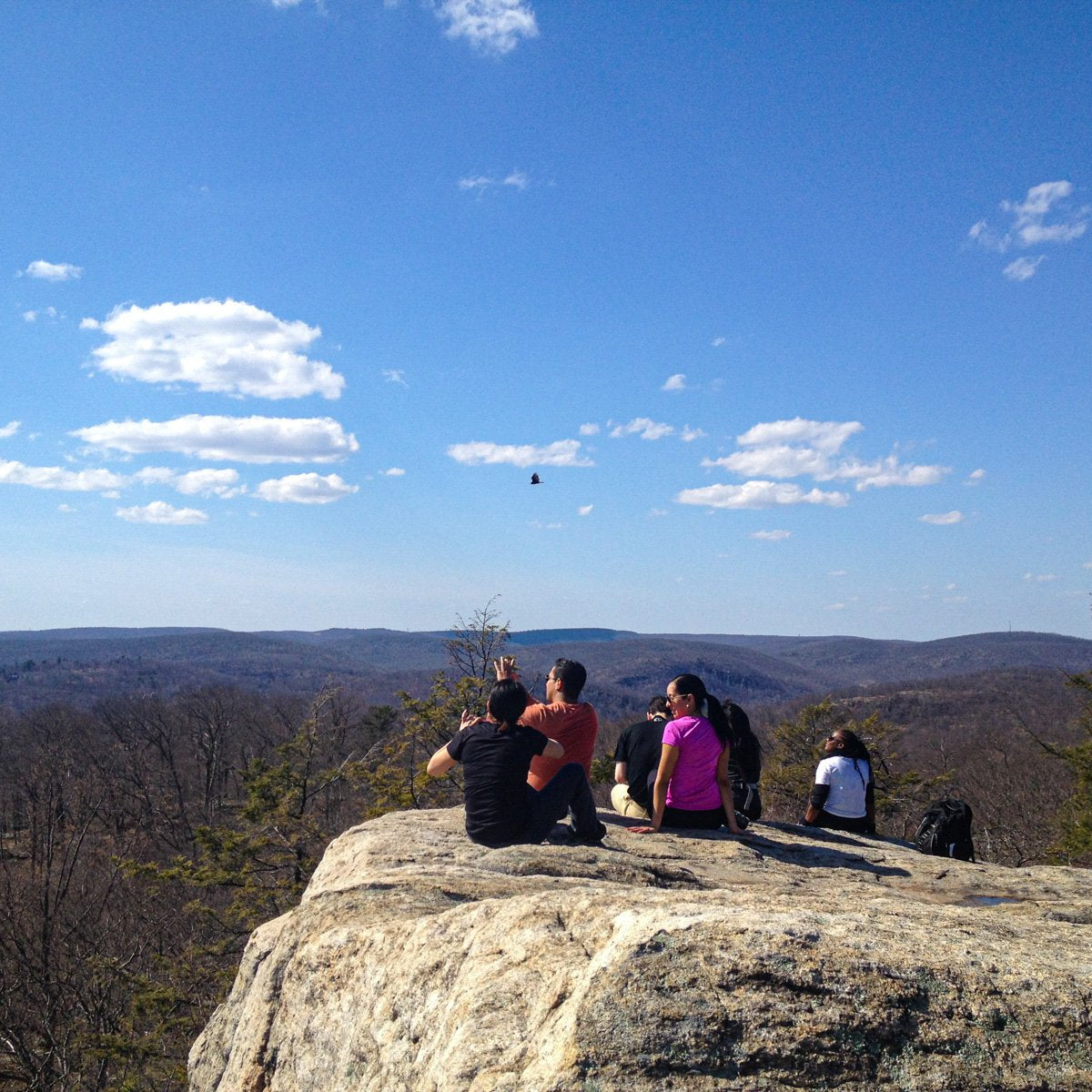 Summer Friday Group Hikes - Only $20, Including Pickup! (Select Dates)