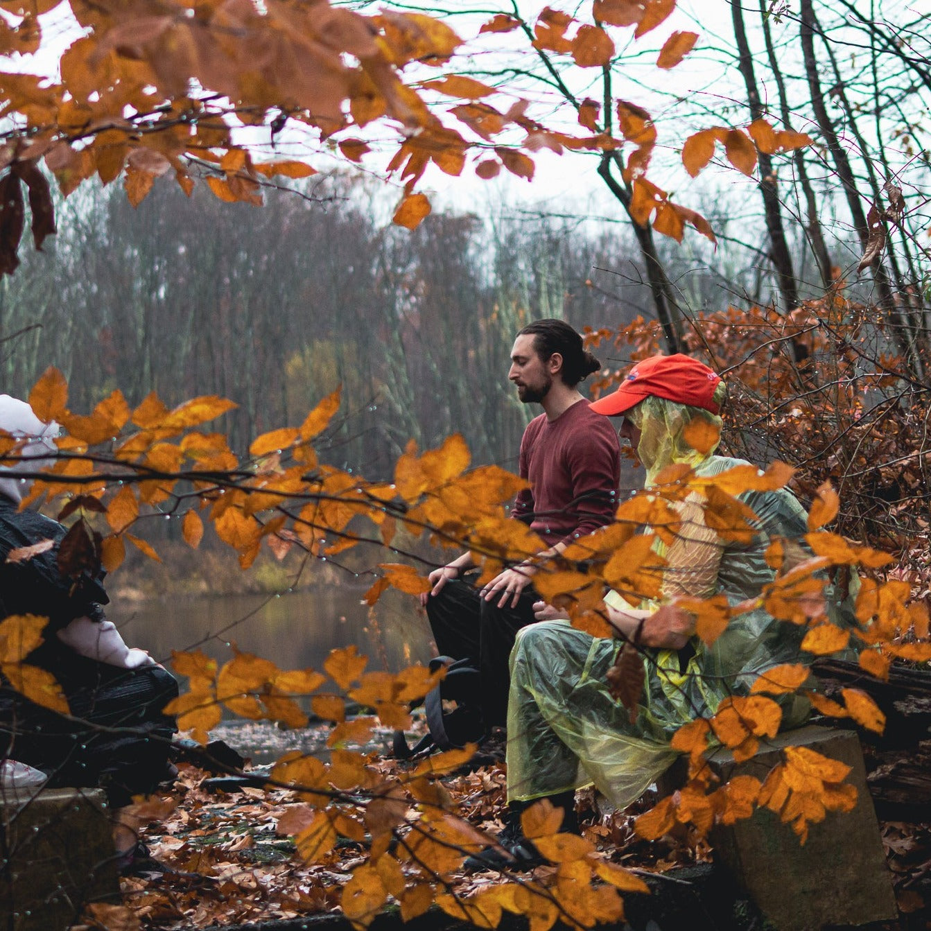 Forest Bathing Meditation at Sterling Forest (Nov 9 2025)