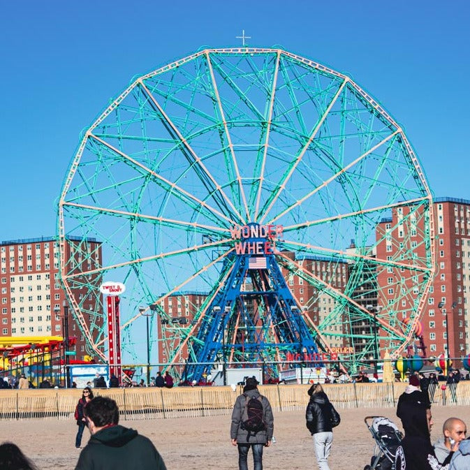 Rydeshare to New Year's Day NYC Polar Plunge at Coney Island
