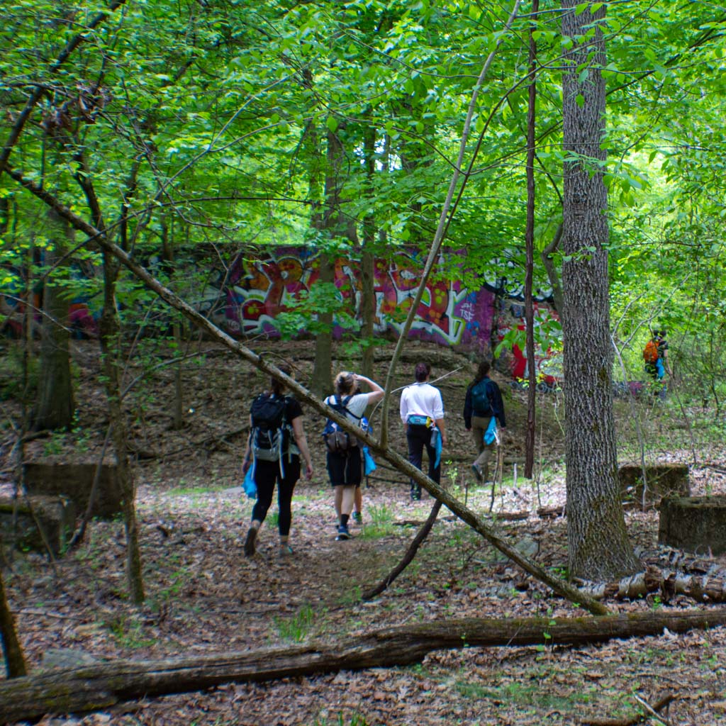 Winter Holiday Hike at The Infamous Tweed Tunnels (Dec 14 2025)