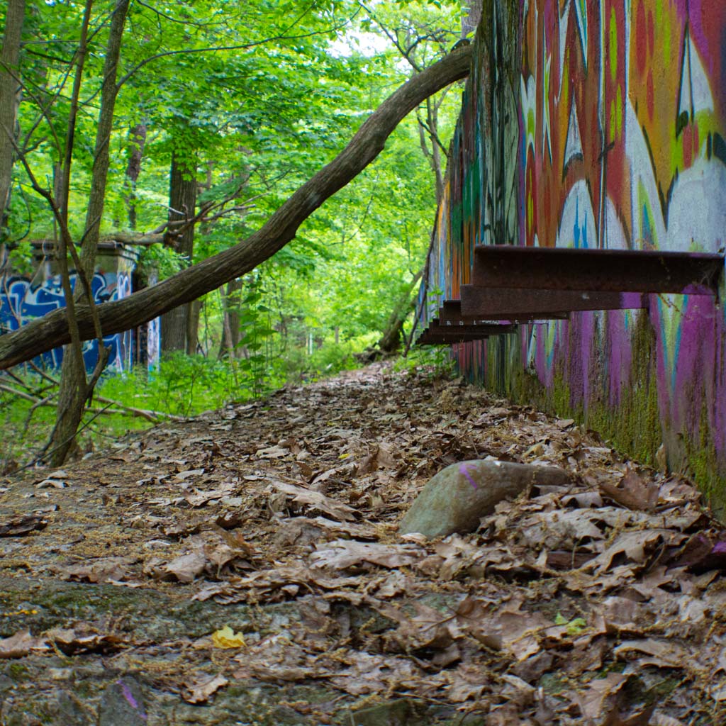 Winter Holiday Hike at The Infamous Tweed Tunnels (Dec 14 2025)