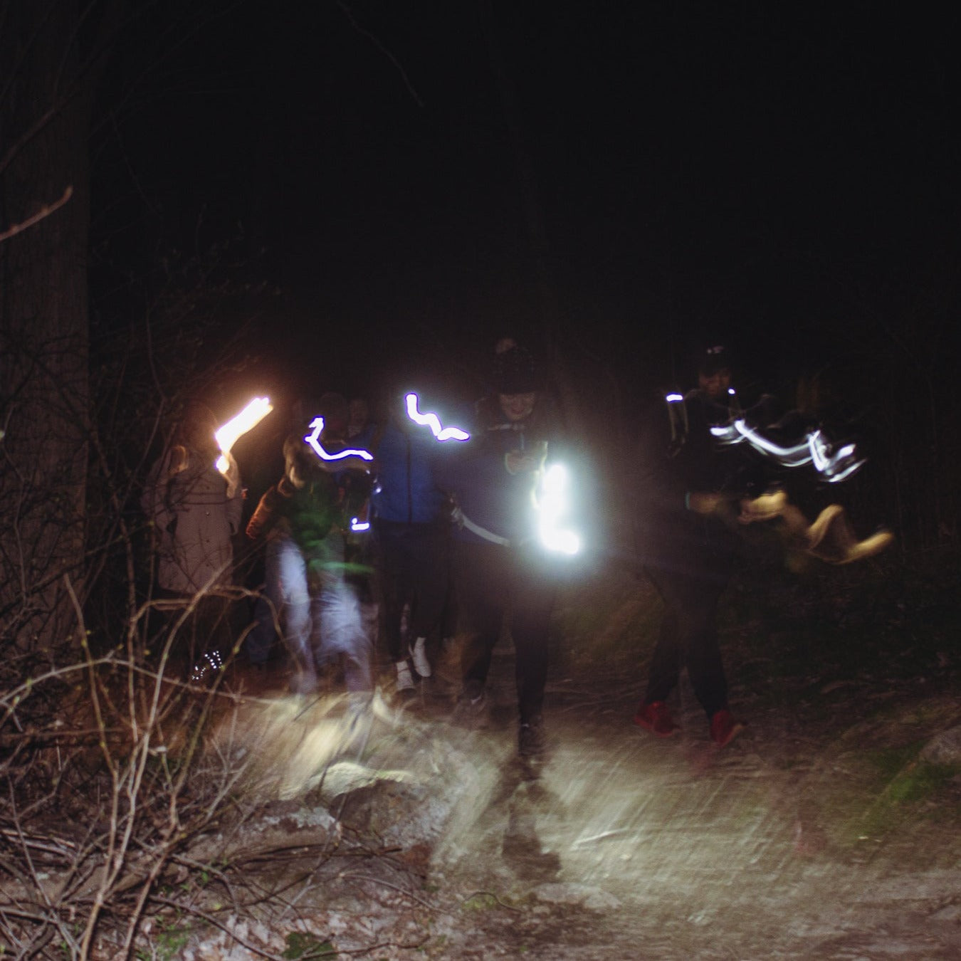 Hike Under A Full Moon on the Appalachian Trail Boardwalk (Sep 7 2025)