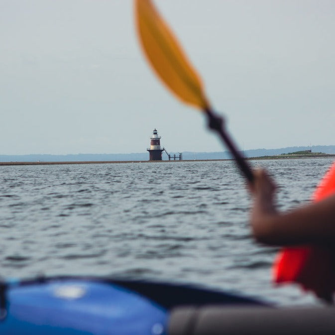 Get Out & Kayak To Cockenoe Island Bird Estuary