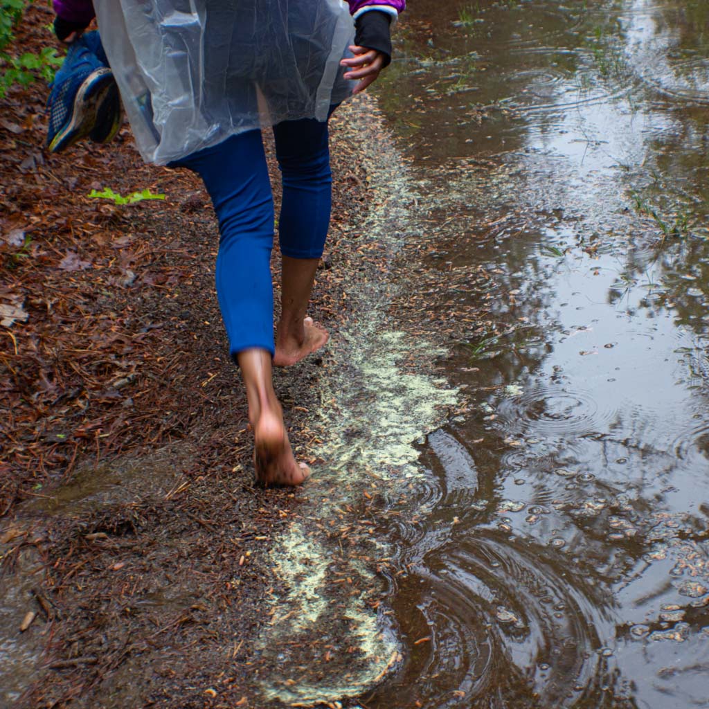 Hike Barefoot With Everyone at Brookhaven State Park (June 1 2025)
